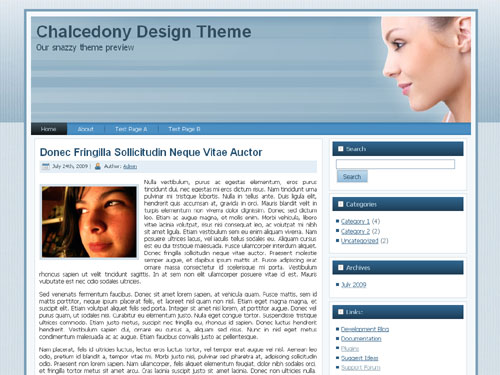 Chalcedony Skin Care screenshot Free WordPress theme - Chalcedony Skin Care