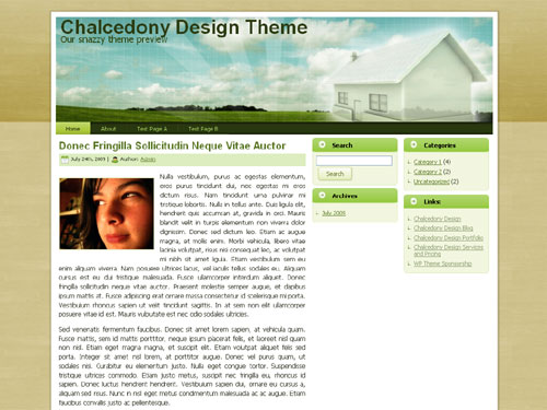 Free Wordpress Theme - Chalcedony Realty.