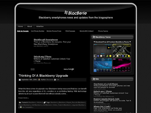 Free WordPress theme - Blacberie