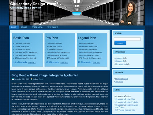Free WordPress theme - Blue Web Hosting